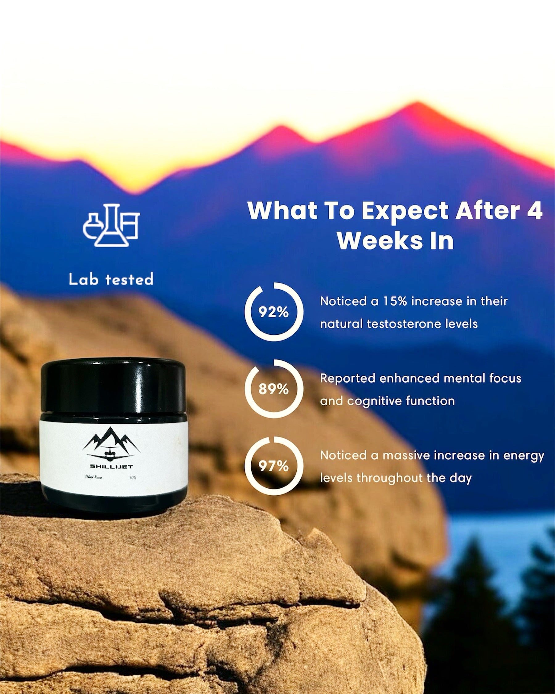 Himalayan Shilajit Resin - Lab Tested 25G - ShilliJet