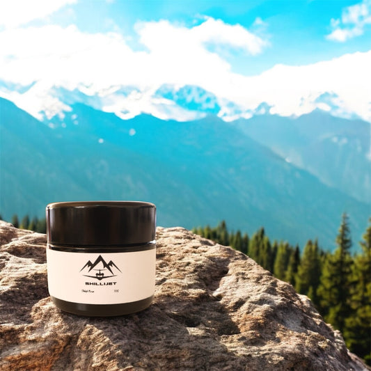 Himalayan Shilajit Resin - Lab Tested 25G - ShilliJet