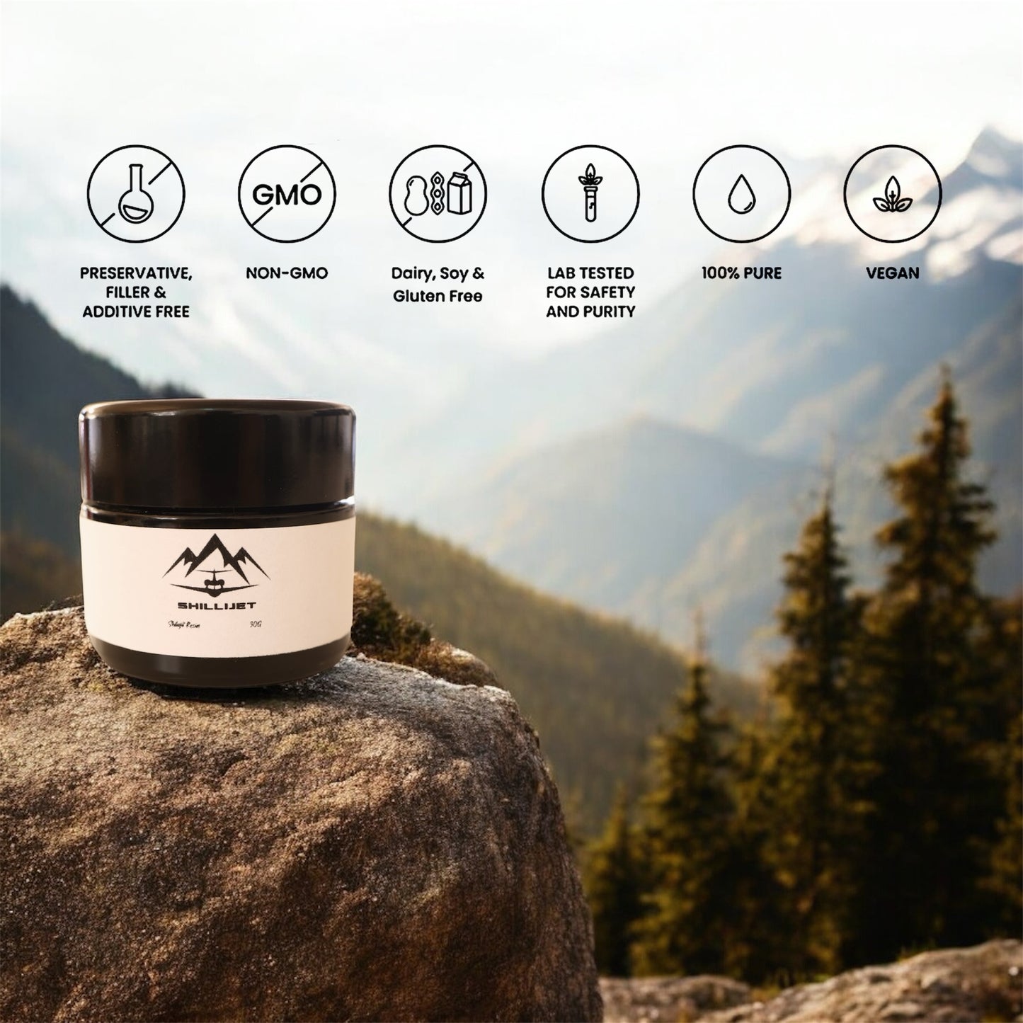 Himalayan Shilajit Resin - Lab Tested 25G - ShilliJet